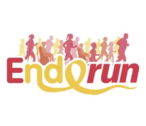 Endorun 300 Par 260